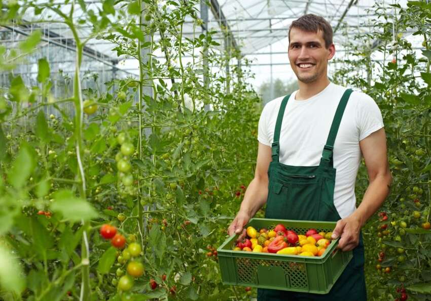 travail agricole