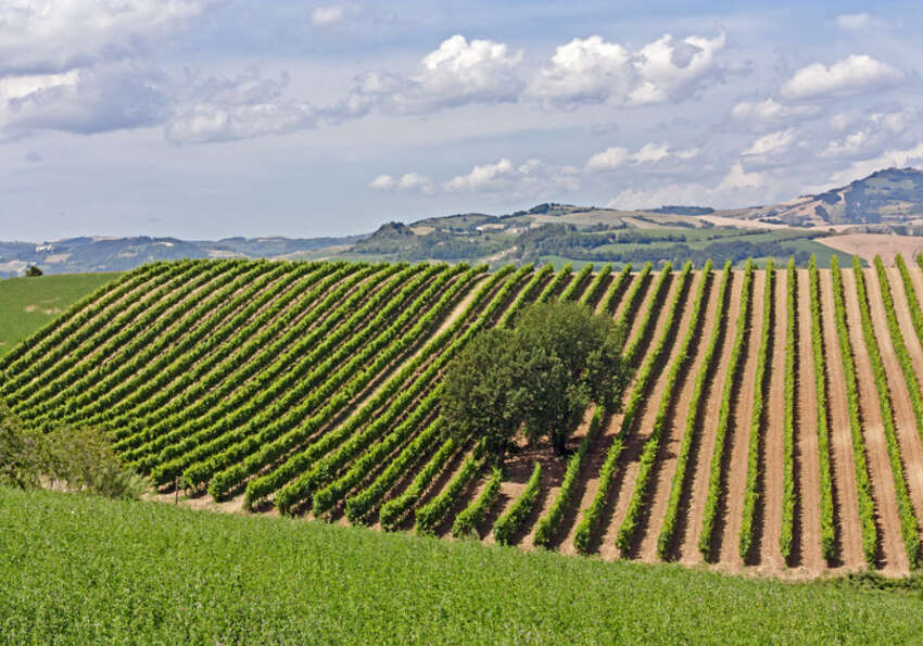 innovazione agricola