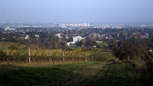 Weingärten am Kadoltsberg Weingärten am Kadoltsberg