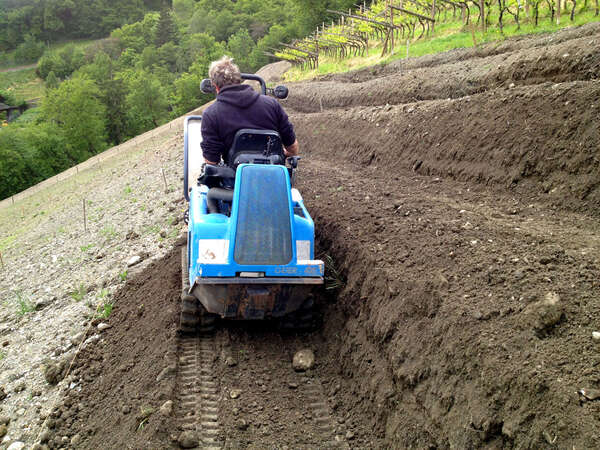 Sistemazioni del terreno