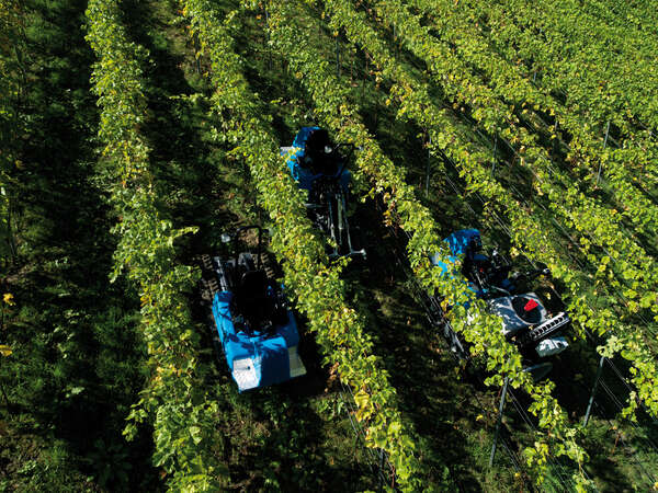 Raupenfahrzeuge für den Weinbau