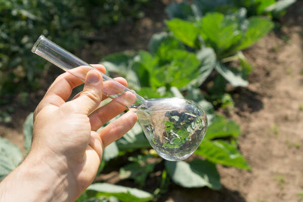 microbi per l'agricoltura