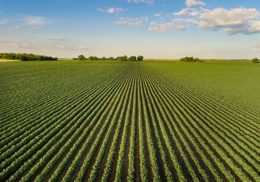 terreno agricolo