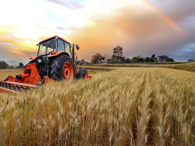 Incentivi agricoltura