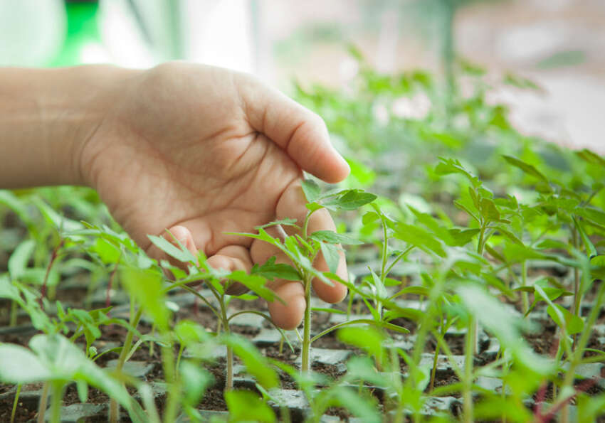 agriculture biodynamique