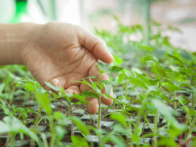 agriculture biodynamique