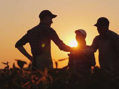 solidarischen Landwirtschaft 