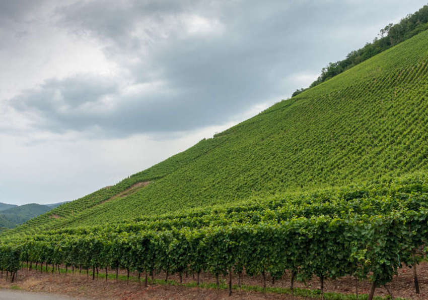 agricoltura in pendenza