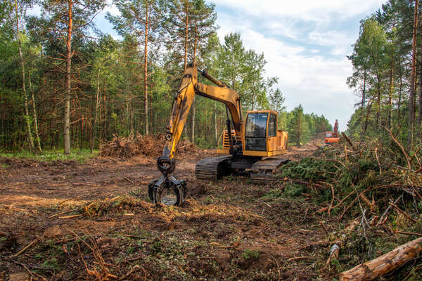 la déforestation