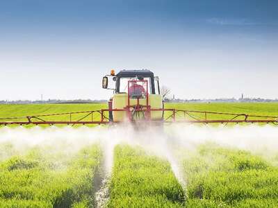 Pesticides
