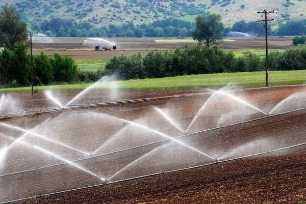 controllo irrigazione