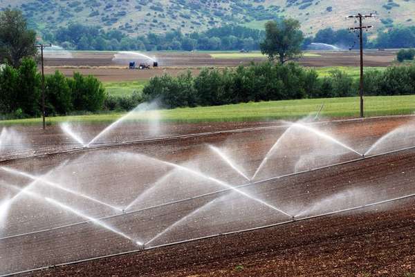 contrôle de l'irrigation