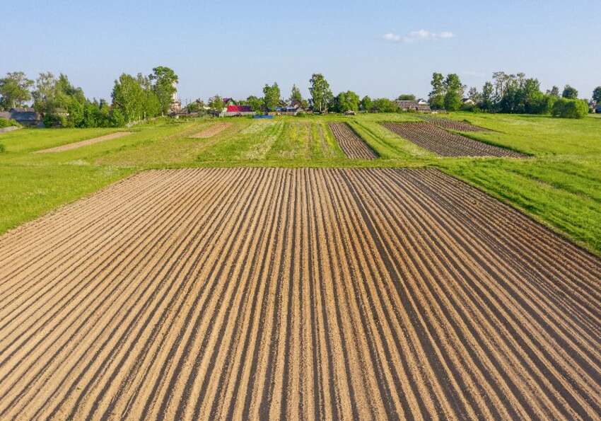  terres agricoles