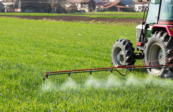 insecticides insecticides