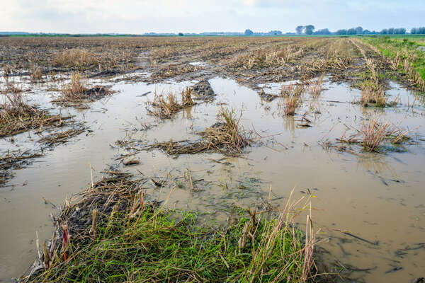 stagnation de l'eau