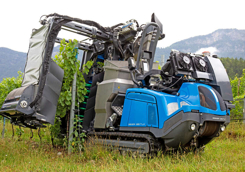 vendemmia meccanica