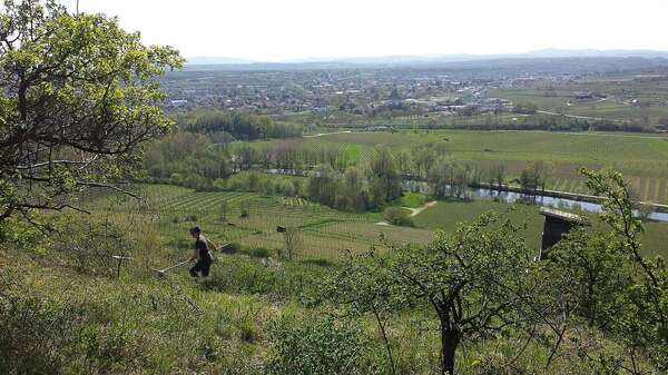 Kamptal