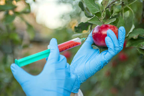 fertilizzanti sintetici fertilizzanti sintetici