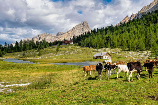 bergbauernhof südtirol