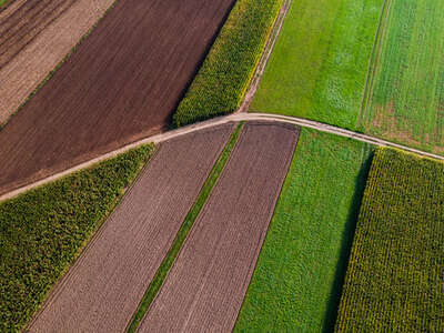 landwirtschaft