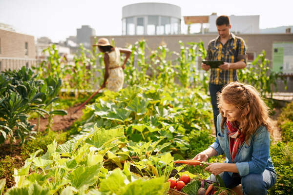 ökologische Landwirtschaft