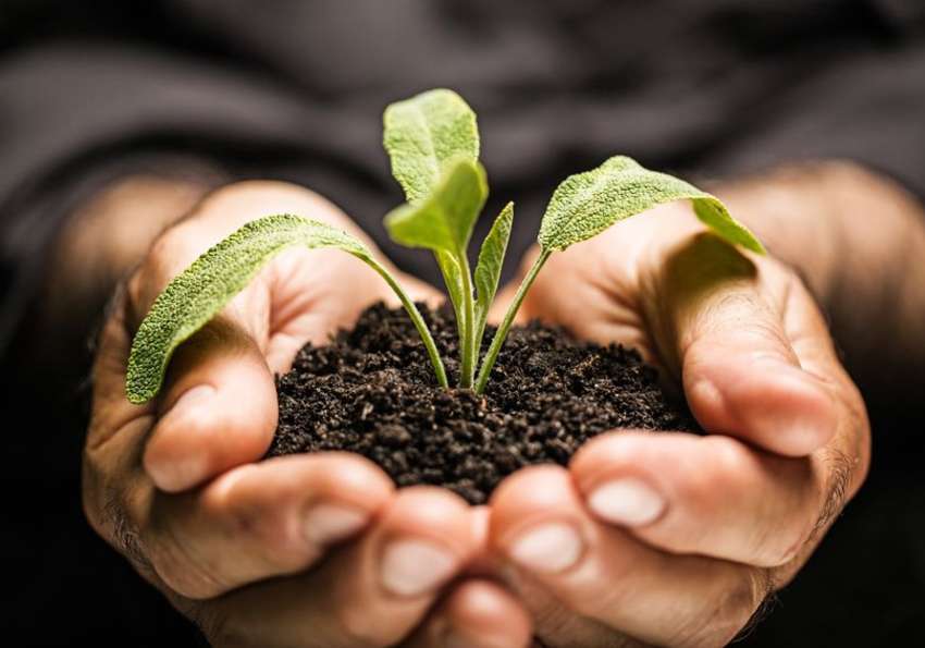 Ökologische Landwirtschaft: Mensch, Natur und Tier in Einklang | Geier