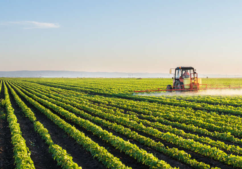 azienda agricola