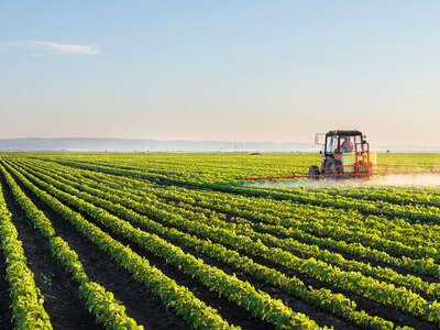 azienda agricola