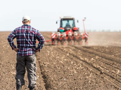 terreno agricolo