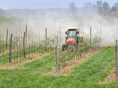 Agricoltura senza pesticidi