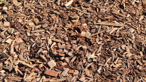 cippato di legno cippato di legno
