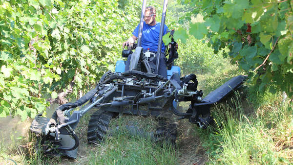 couper les mauvaises herbes couper les mauvaises herbes