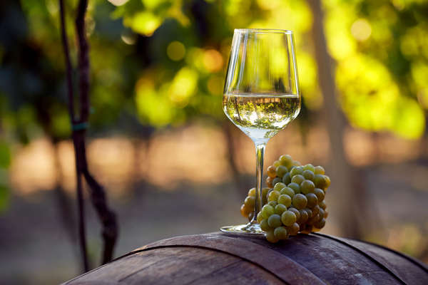 vino bianco alto adige vino bianco alto adige