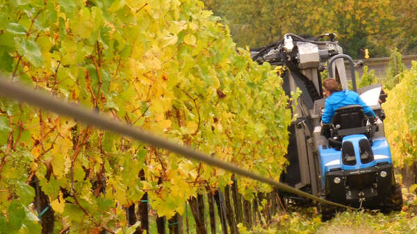 tracteurs à chenilles