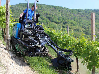 taglio erba in pendenza