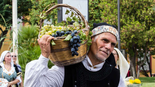 fêtes du raisin