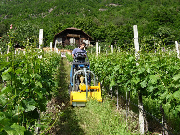 Trinciaerba a martello Trinciaerba a martello