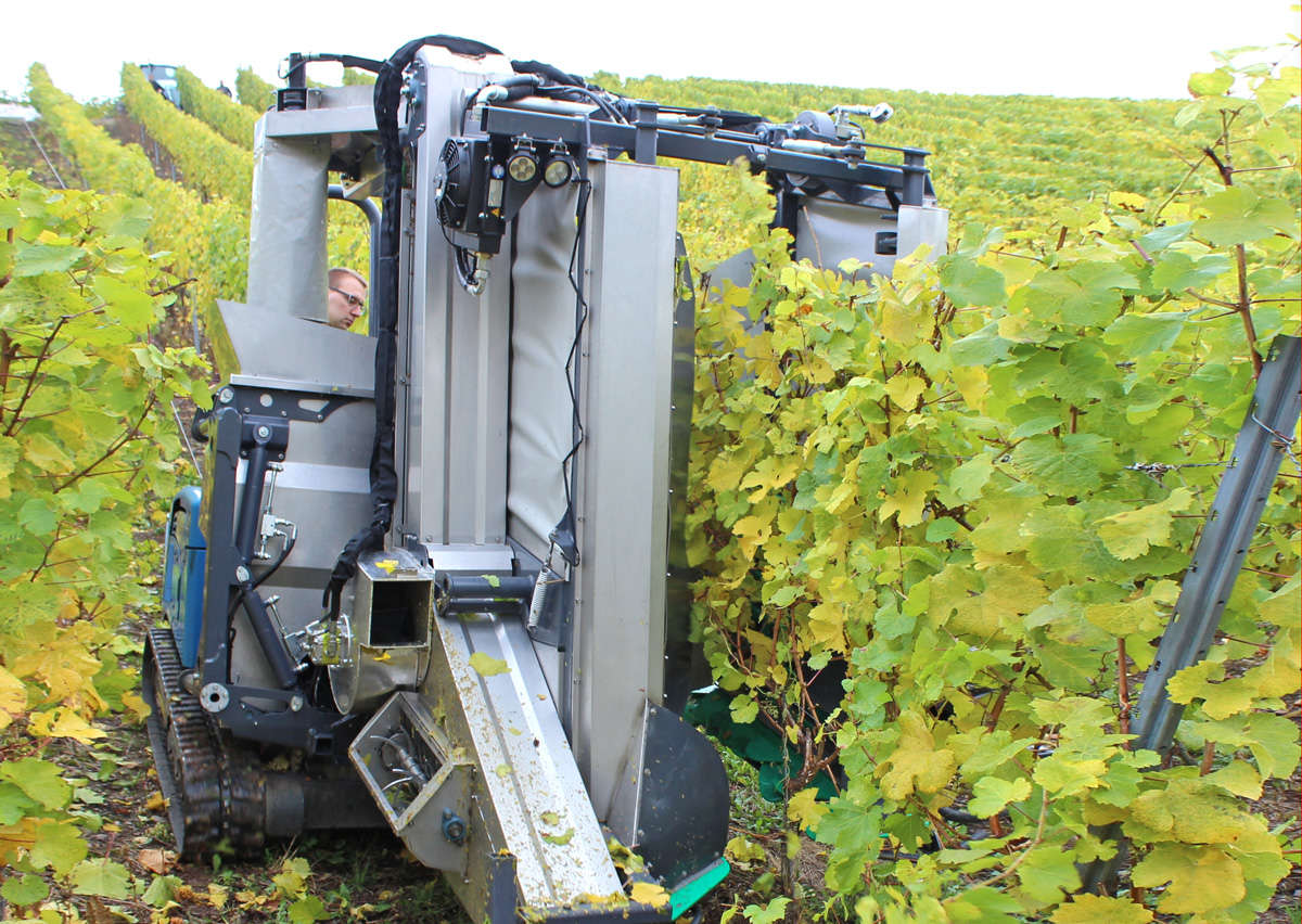 Raccolta uva Quando la tecnologia aiuta a vendemmiare Geier