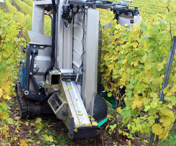 Erntemaschine Kronos Erntemaschine Kronos